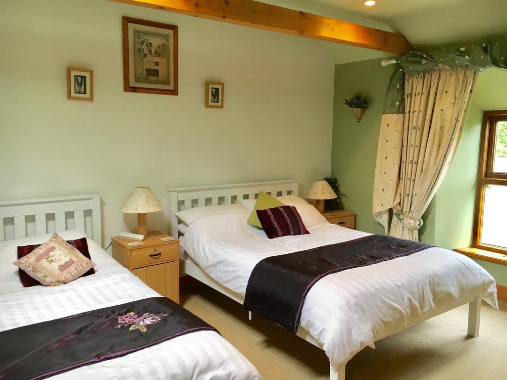 Tinnycross House B&B Ballymore Eustace Zewnętrze zdjęcie