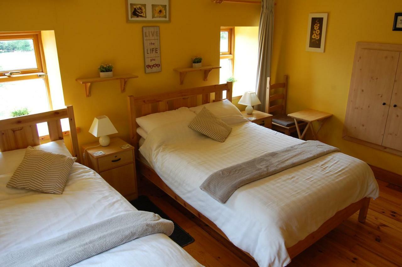 Tinnycross House B&B Ballymore Eustace Zewnętrze zdjęcie