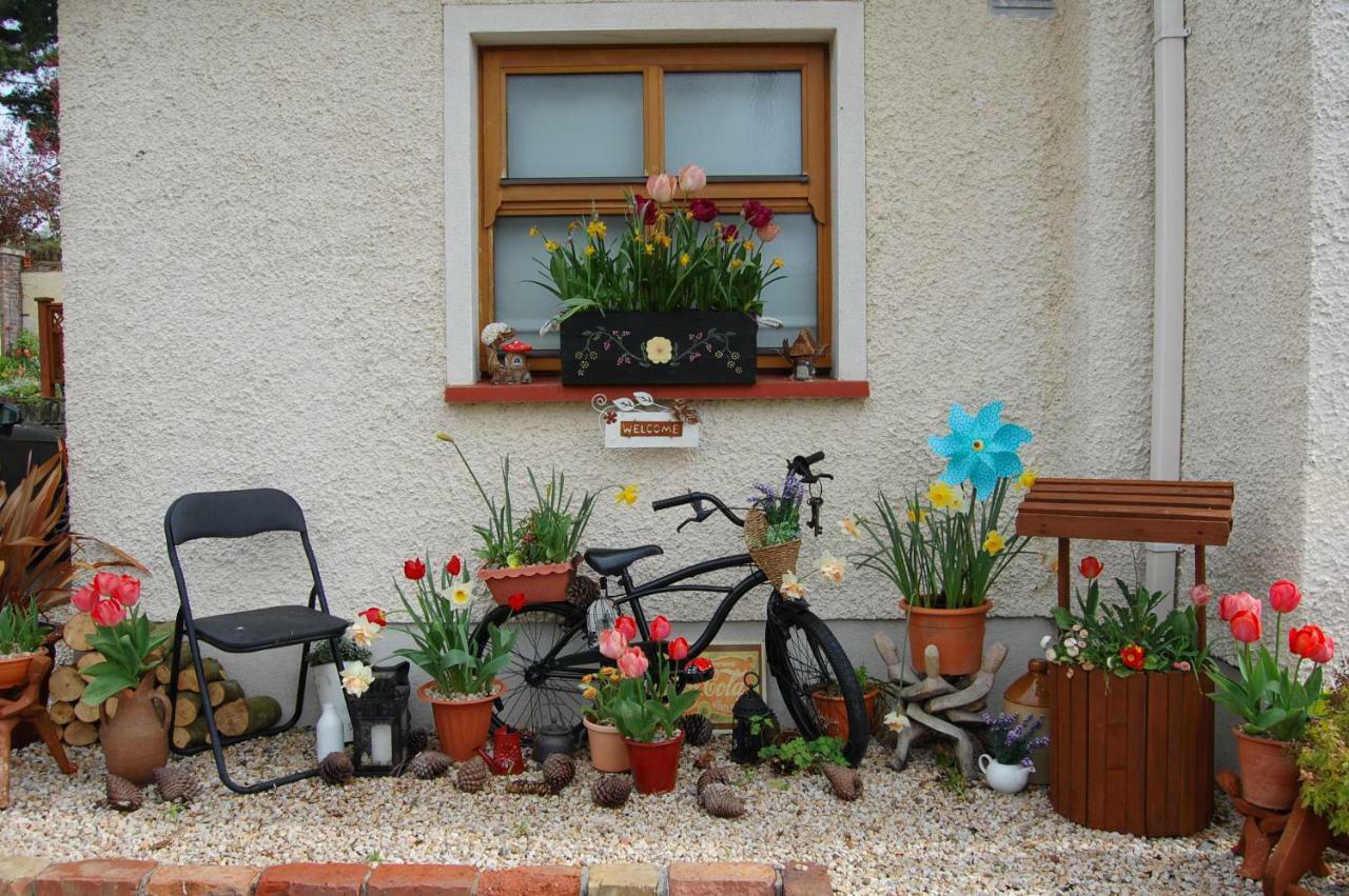 Tinnycross House B&B Ballymore Eustace Zewnętrze zdjęcie